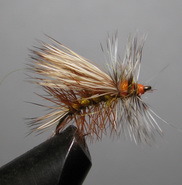 ���� ����� Stimulator STM 010  Grizzly orange bleached   ������ � 16 